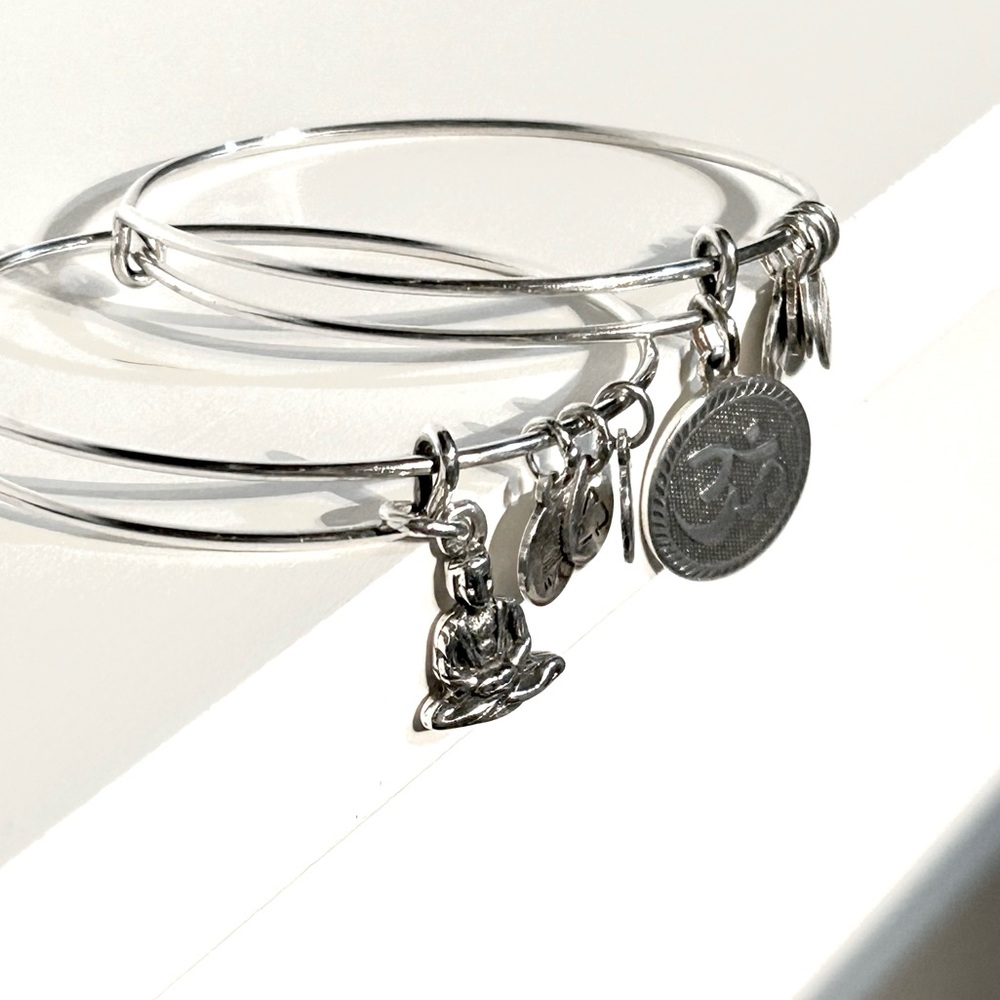 Alex & Ani Silver 2 Bracelet Bangle Set Retired